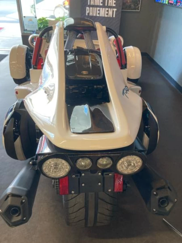 Campagna T-REX RR 2025