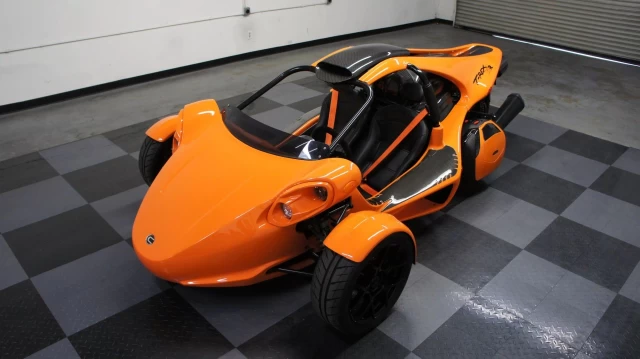 Campagna T-rex RR RR 2024