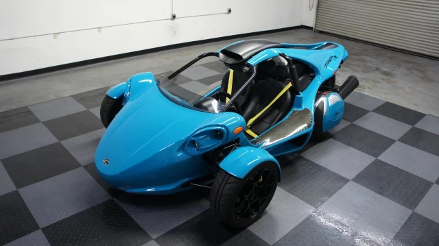 Campagna T-Rex RR  2024