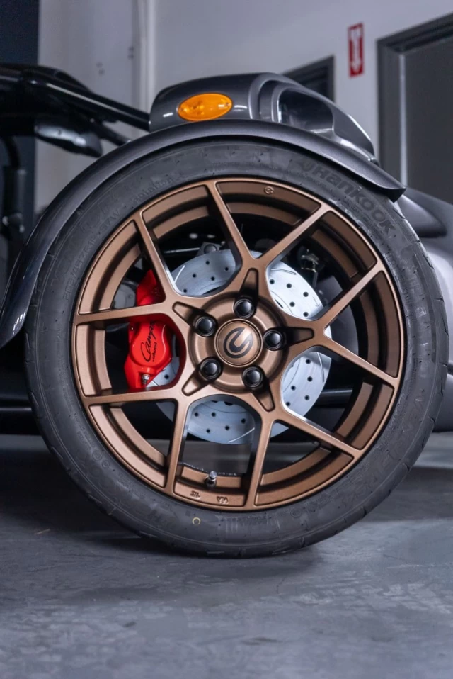 Campagna T-REX RR  2026