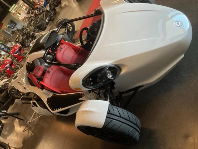 Campagna T-REX RR RR 2025