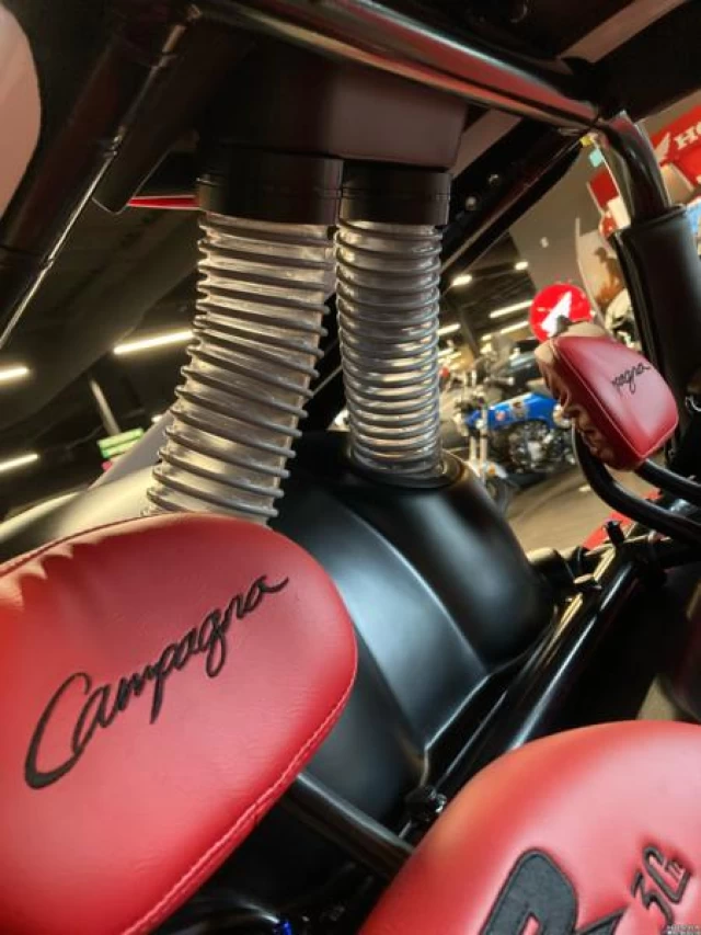 Campagna T-REX RR RR 2025